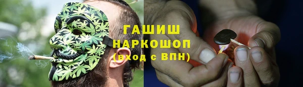 эйфоретик Баксан
