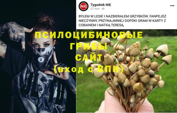 эйфоретик Баксан