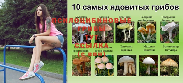каннабис Балахна