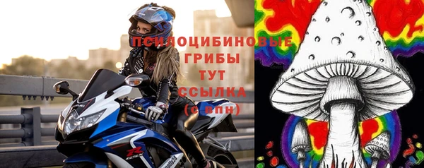 эйфоретик Баксан