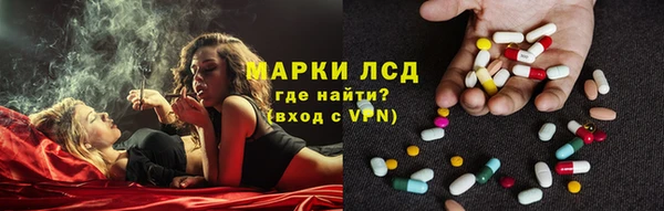 эйфоретик Баксан