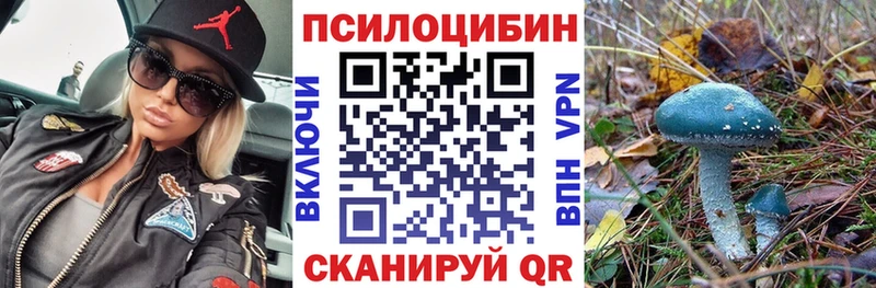дарк нет официальный сайт  купить наркотики сайты  Верхняя Салда  Псилоцибиновые грибы Cubensis 
