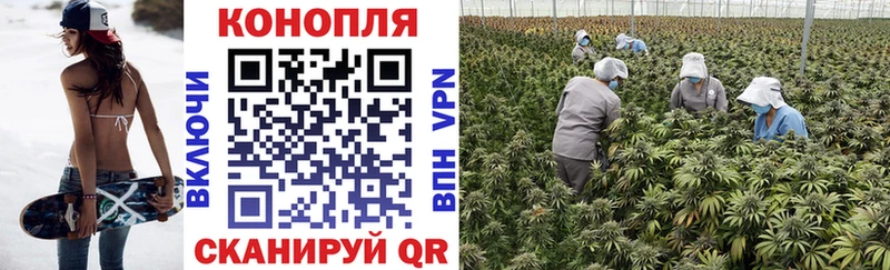 Бошки марихуана VHQ  кракен рабочий сайт  Верхняя Салда 
